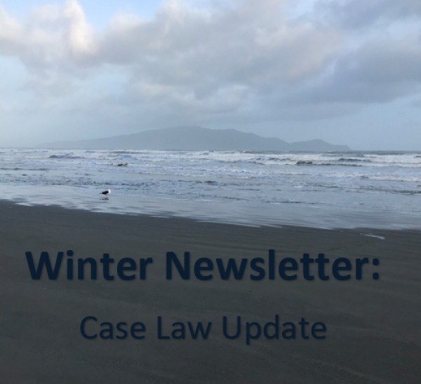 winter newsletter